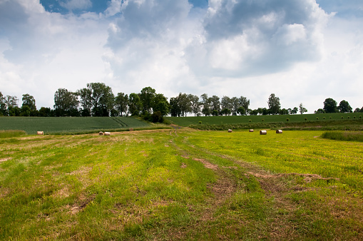 Bales in the countryside
