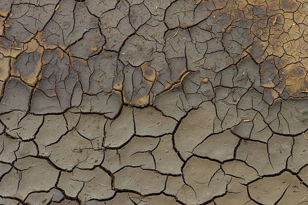 istock Dry cracked grey earth background 542173296
