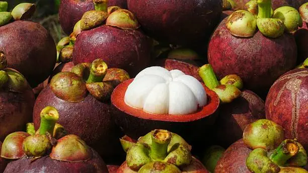 Mangosteen Fruits. Bunch of ripe mangosteen fruits halved with pulp visible.