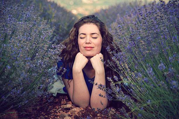 mon fleur angle - l'huile essentielle de lavande dormir photos et images de collection