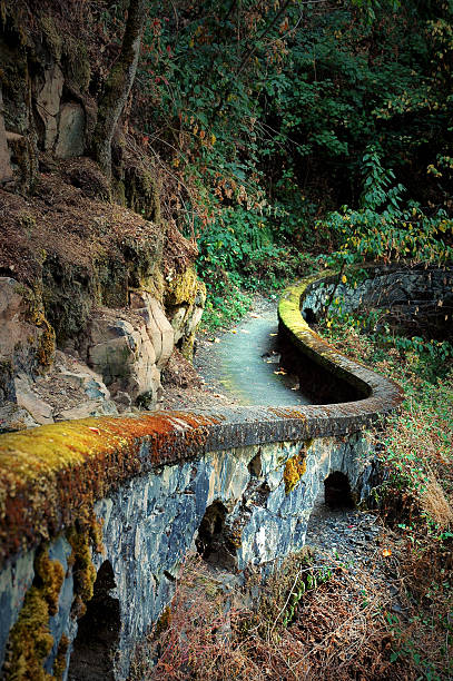 istock Shepperds Dell, Columbia River Gorge, Oregon 542180274
