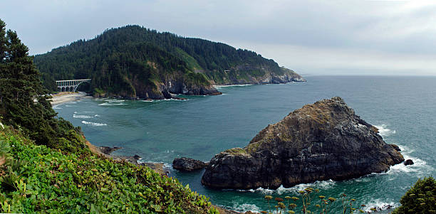 istock Heceta Head and Bridge, Oregon Coast 542180590