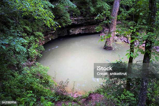 River Styx Spring At Mammoth Cave Kentucky Stock Photo - Download Image Now - Mammoth Cave National Park, Kentucky, Forest