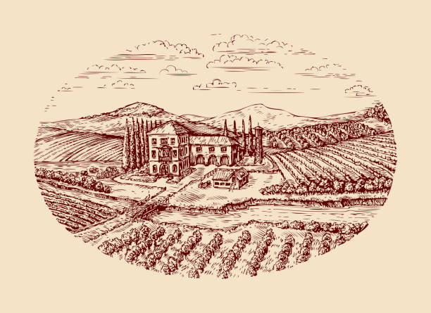 ilustrações de stock, clip art, desenhos animados e ícones de itália. paisagem rural italiana. esboço desenhado à mão vintage vinha, exploração - vinery