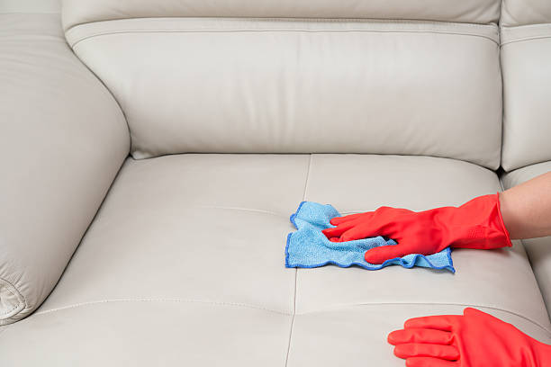 istock cleaning leather sofa at home 542181196