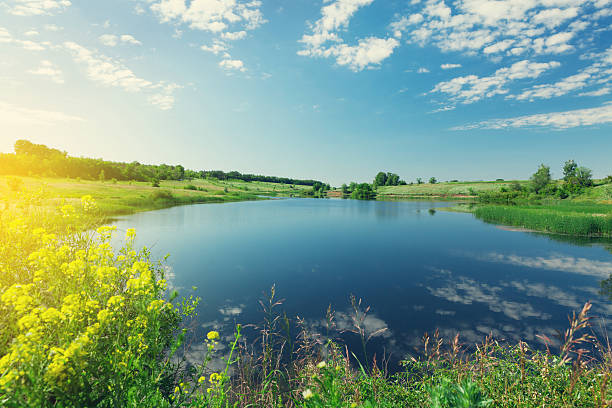 istock Landscape with pond and hills 542181900
