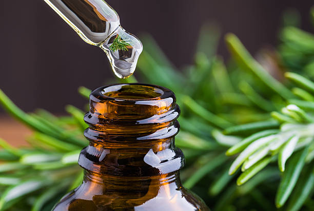 olio di rosmarino. - herbal medicine foto e immagini stock