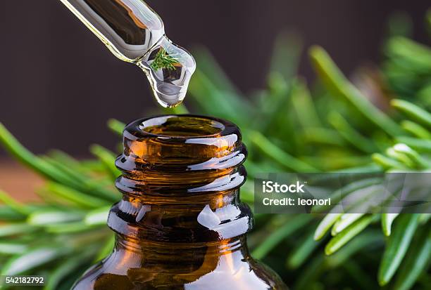 Rosemary Oil Stock Photo - Download Image Now - Essential Oil, Cooking Oil, Rosemary