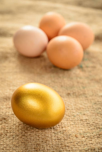 oro uova - agriculture brown burlap cholesterol foto e immagini stock