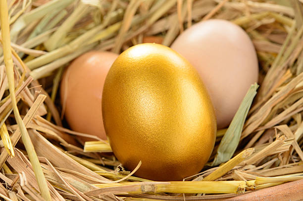uova d'oro in rete - agriculture brown burlap cholesterol foto e immagini stock