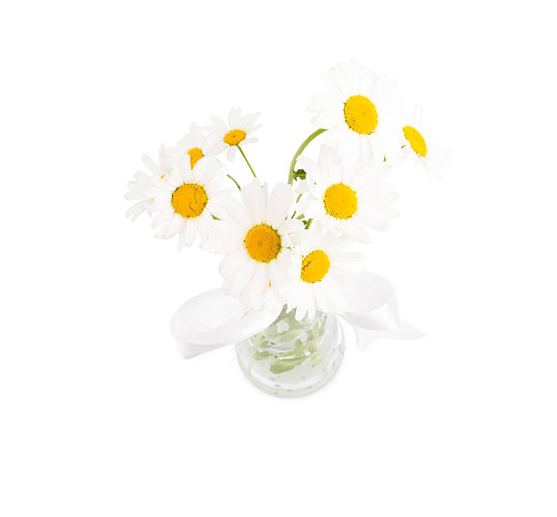 istock Camomiles in a transparent vase 542193218
