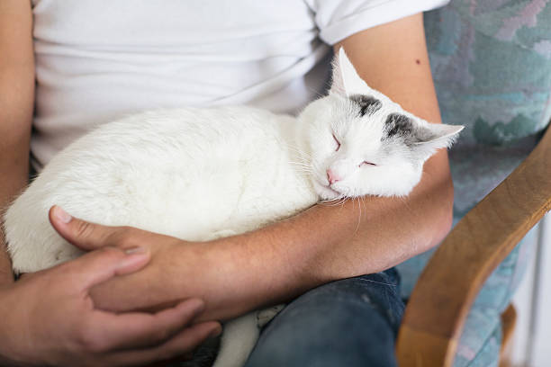 istock white cat owner togetherness pet love 542193386