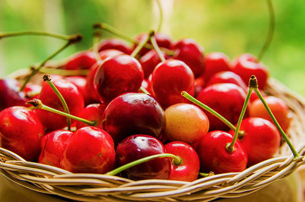 istock ripe cherries in a wicker dish plate 542193590