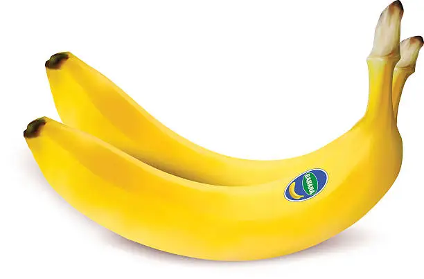 Vector illustration of Realistic Two Bananas