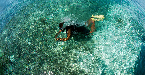 istock divers swimming in a blue clear water 542197828