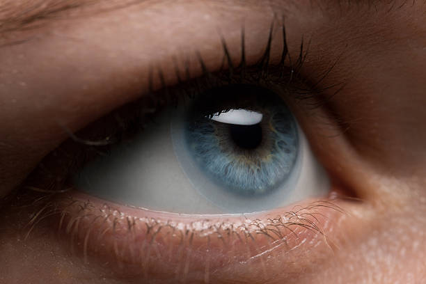 istock Woman eye with contact lens applying, macro 542198440