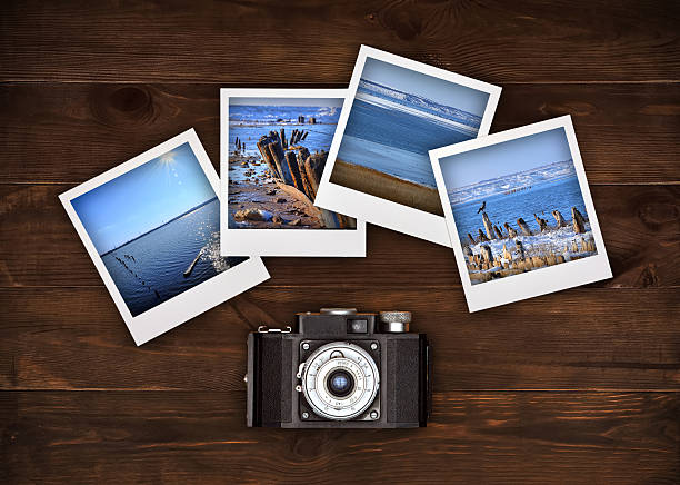 istock four photographs of nature 542199106