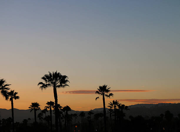 istock Ventura Palms and Mountains 542200180