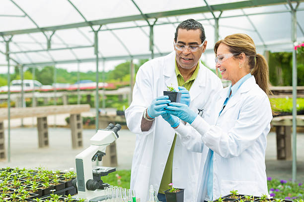 istock Botanists inspecting a small green plant together 542203300