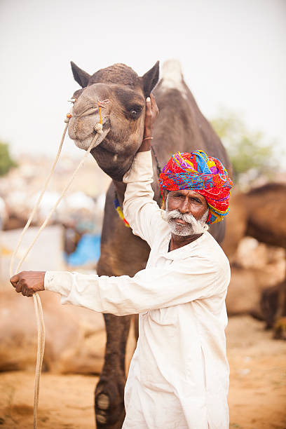 istock Senior Indian Man with Camel at Pushkar Camel Fair 542207372