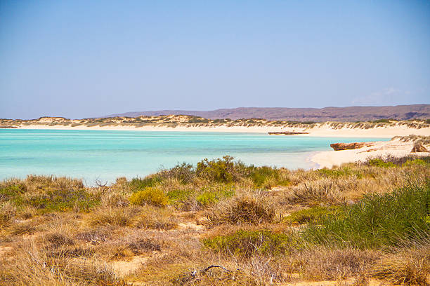 Sandy Bay, Exmouth, Western Australia The shallow waters and wide expanse of endless white sand make this a great choice for families. exmouth western australia photos stock pictures, royalty-free photos & images