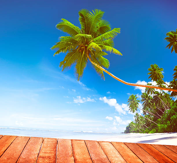 istock Beach Summer Relaxation Tranquil Scene Concept 542210598