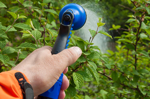 istock Hand of a man with gardening tools on plant background 542212208