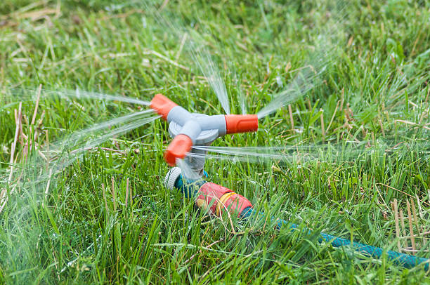 istock Garden hose lying on a green lawn 542212268