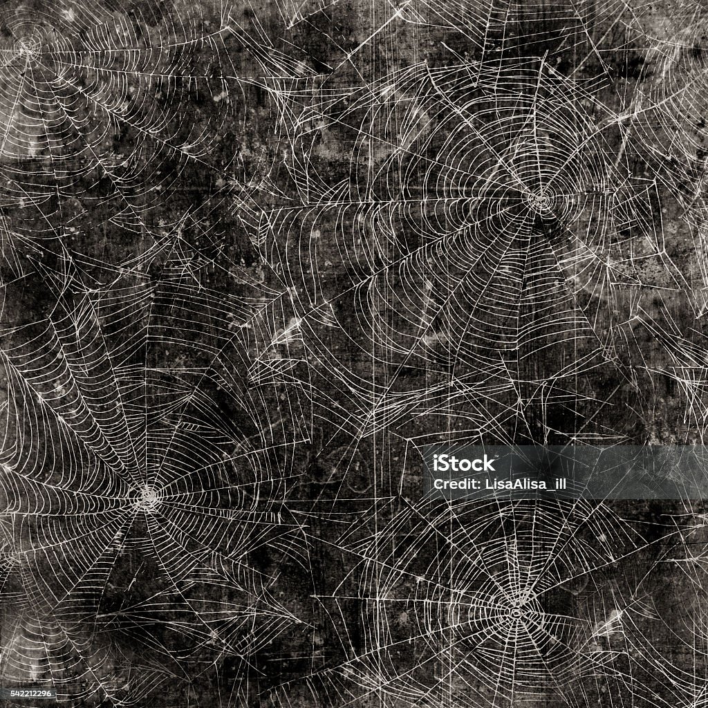Bobweb Texture Spider Web Background Cobweb Texture Stock Illustration - Download ...