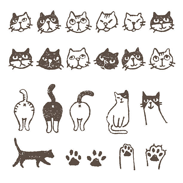 13,400+ Angry Cat Stock Illustrations, Royalty-Free Vector Graphics & Clip  Art - iStock