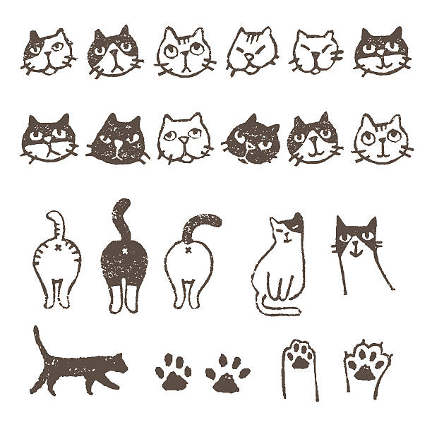 13,400+ Angry Cat Stock Illustrations, Royalty-Free Vector