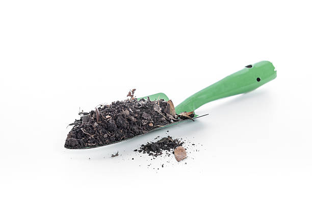 istock Garden trowel with soil on white background 542214420