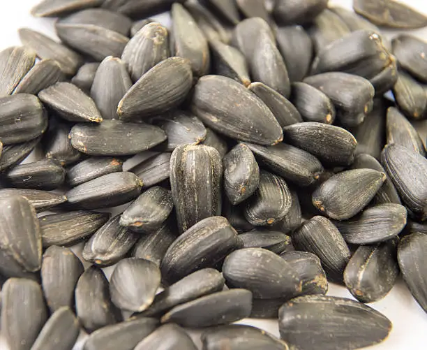 Sunflower seeds can be used as background