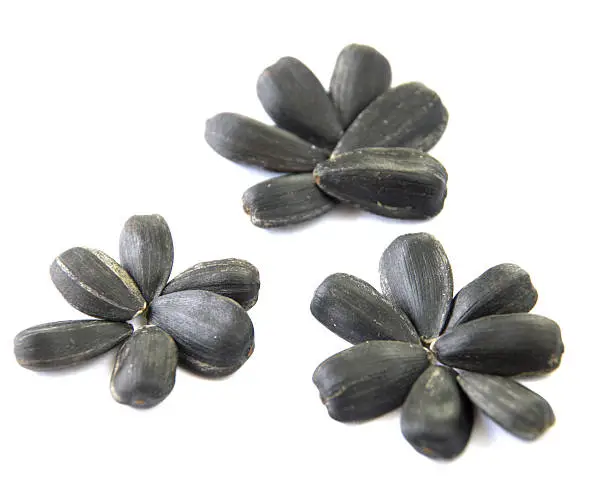 Sunflowerseeds can be used as background