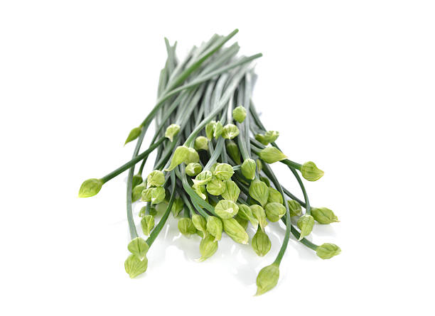 istock uncooked Chives flower or Chinese Chives on white background 542215456