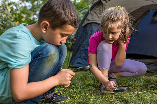 istock Small boy and girl examining grass through magnifying glass. 542216570