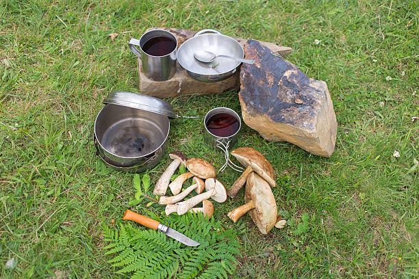 istock Camping in a mountainous area with cooking equipment. 542285614