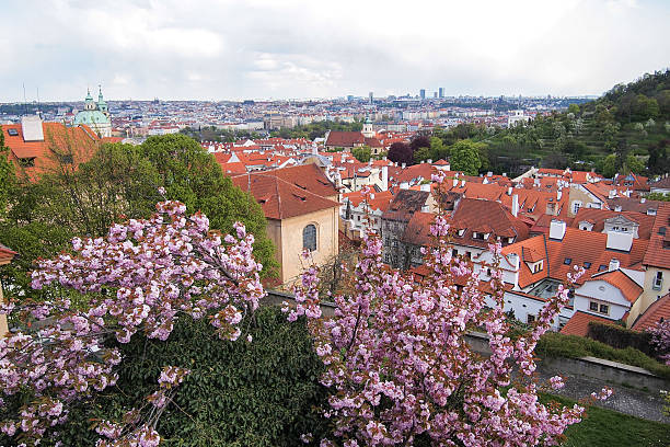 istock panoramic view of prague,Czech Republic 542286060