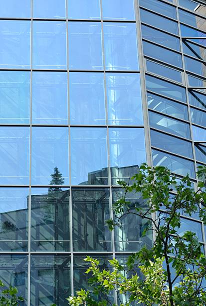 istock Glass facade of modern office building 542287224