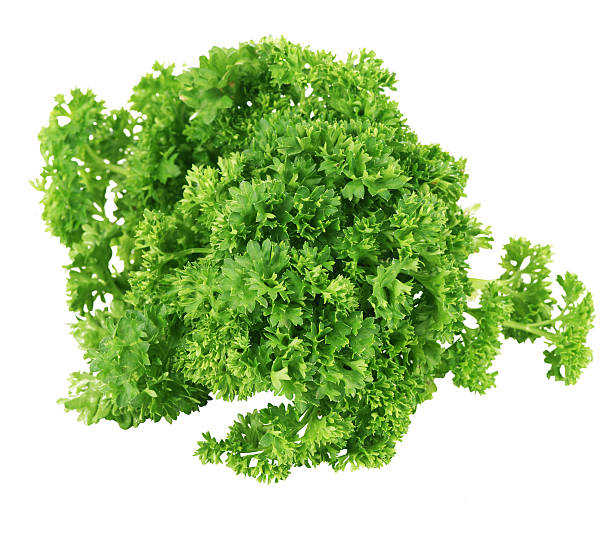 istock Bunch of green coriander on a white background 542287898