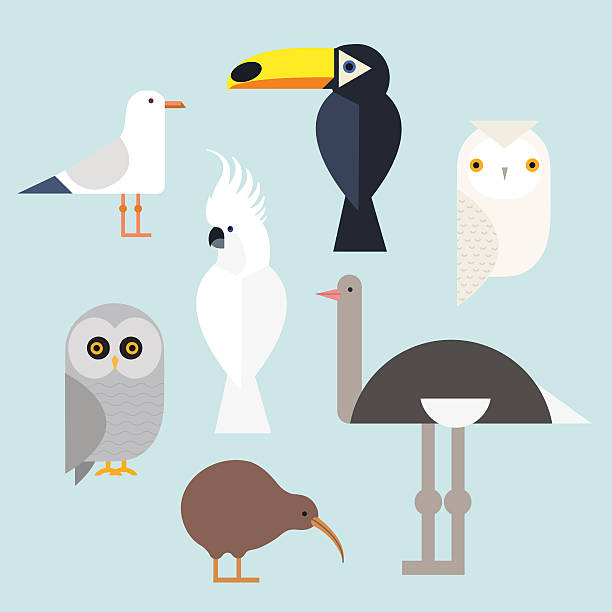 Birds icons set Different birds icons set include seagull, cockatoo, toucan, snowy owl, gray owl, kiwi and the ostrich. Vector illustration isolated on a blue background. Bird Species owl illustrations stock illustrations