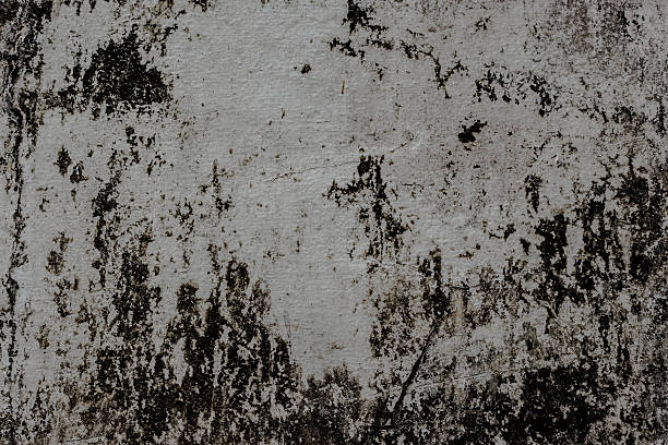 istock Old concrete wall with stains and dirt, texture background 542292854