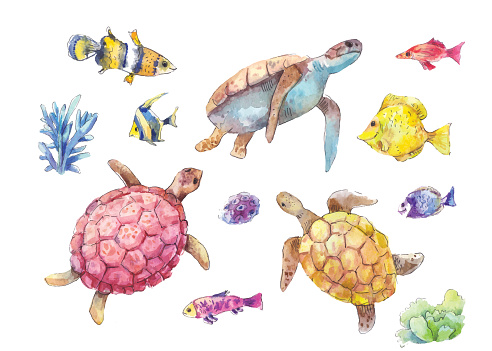 Set of sea turtles, marine fish and algae painted in watercolor, isolated on white background. Hand-drawn vector illustration.
