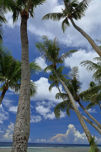 istock beautiful beach of guam 542293152