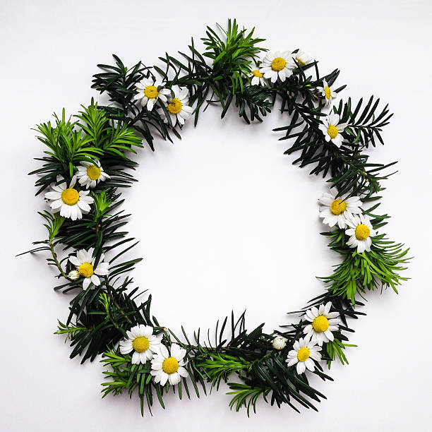 istock Frame of green branches and flowers on white background 542293466