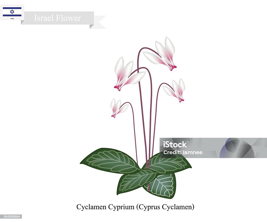 My Image 11