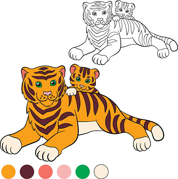 909 Tiger Coloring Page Illustrations & Clip Art - iStock 909 Tiger Coloring Page Illustrations & Clip Art - iStock