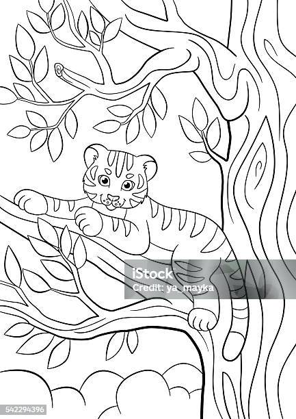 Coloring Pages Wild Animals Little Cute Baby Tiger Stock Illustration - Download Image Now