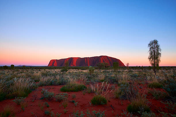 uluru à l'aube  - uluru australia northern territory sunrise photos et images de collection