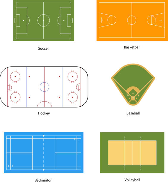 sport pola oznakowanie, odizolowane na białym - computer graphic white background playground court stock illustrations